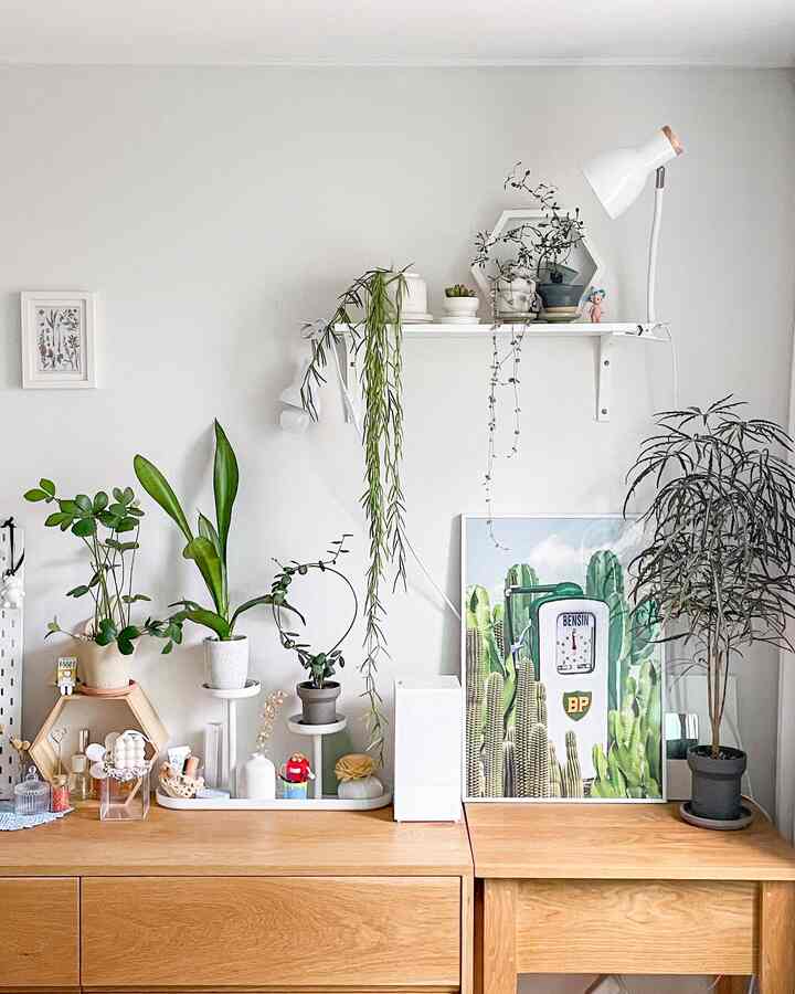 6月のオハウス🤍

#シックモーニング 

新しい家では釘を打ちます🥺
一箇所に許されて増える植物たちの席を守りました😆

残りの棚席の荷物はまだ整理できません！ゆっくり..やろう🤪

素敵で素敵な一週間を過ごしてください:)

＃植物生活＃壁飾り＃壁棚＃ホヤリネアリス

＃オーハウスシーズン8 plant #planterior #homegardening #plantpot #gardening #植物インテリア #土分 #ホワイトウッド #引き出し 