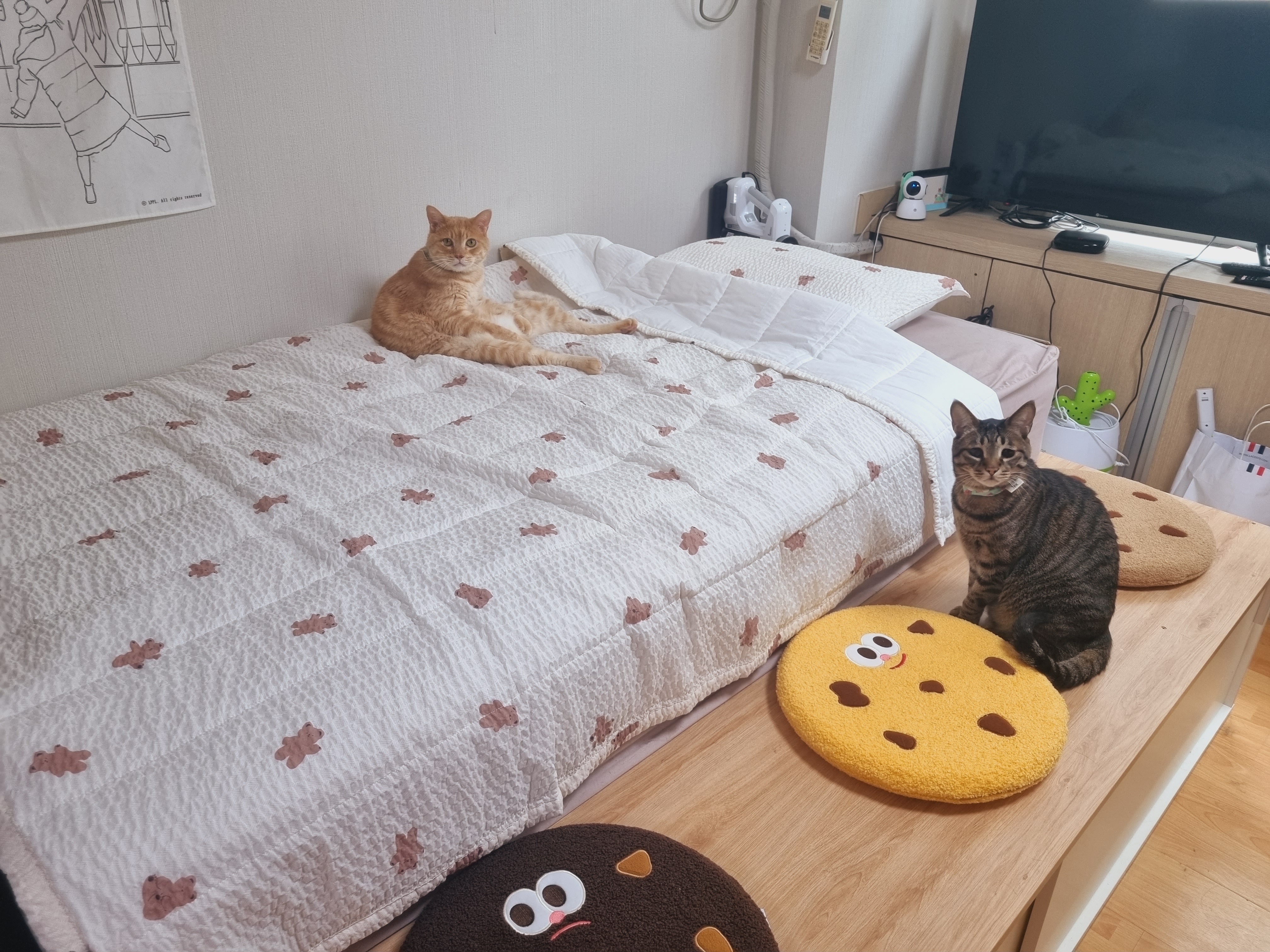 Seersucker and Cotton Summer Comforter Set user photo
