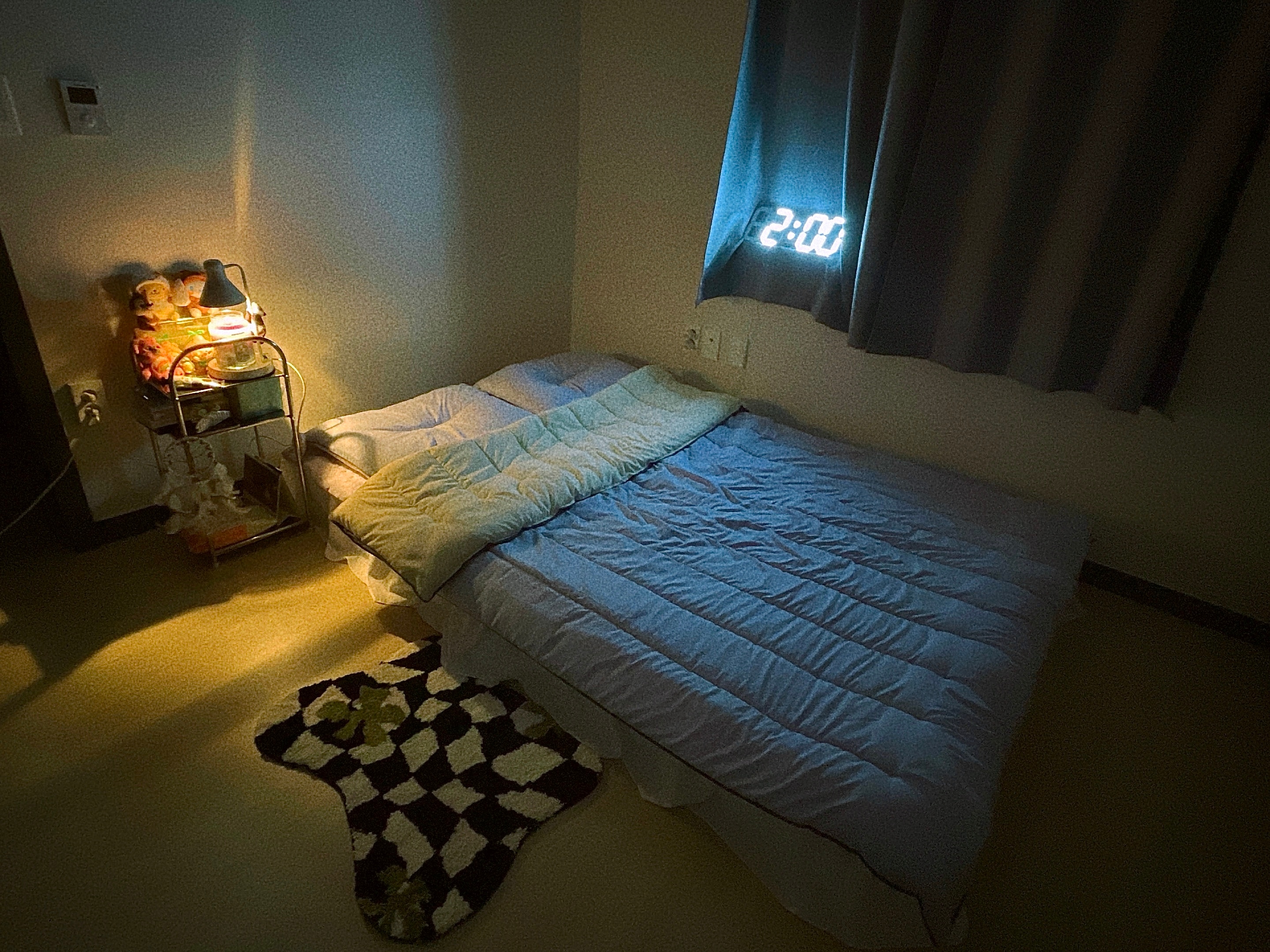 Checkered Accent Rug user photo