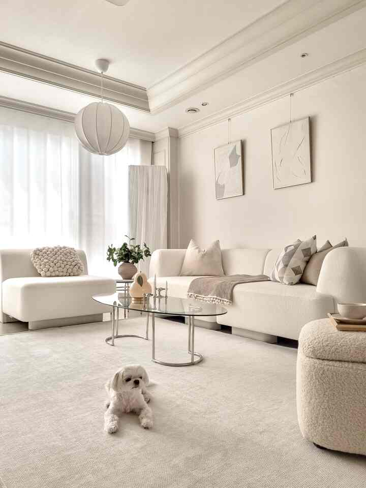 白とベージュの色調のリビング、モジュラーソファと大きなラグが配置され、ペットの犬が安らいでいるシンプルで居心地の良い空間