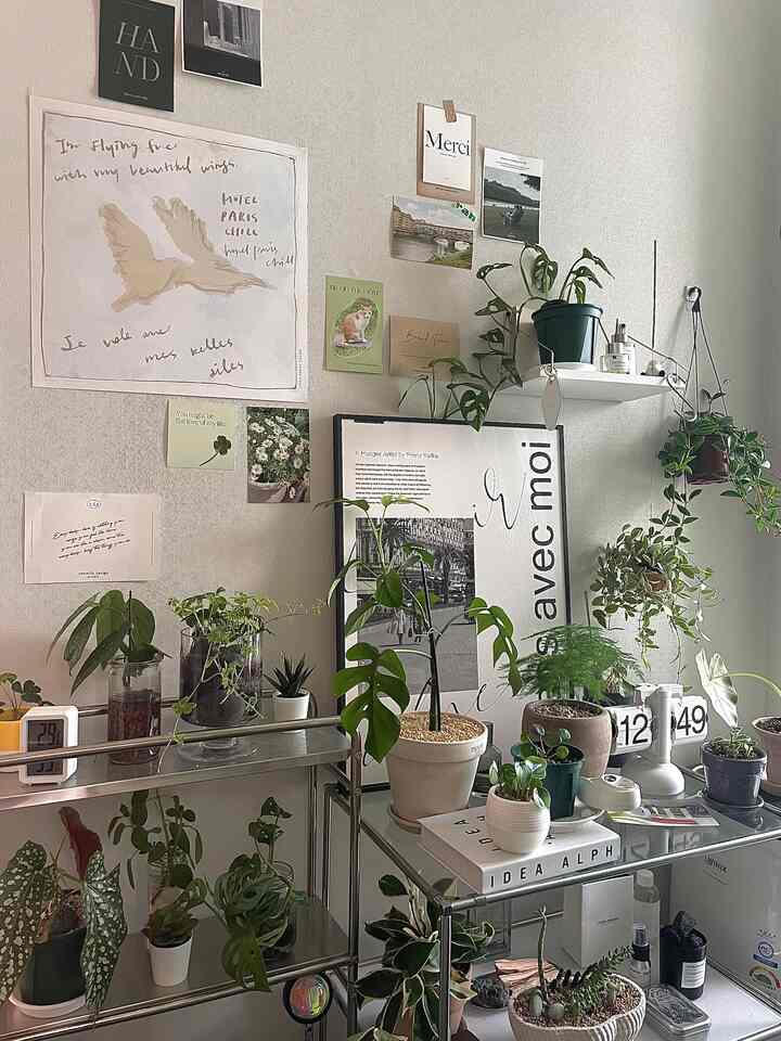 Gray-toned wall and metal shelves featuring various plants in a natural and simple plant-focused interior