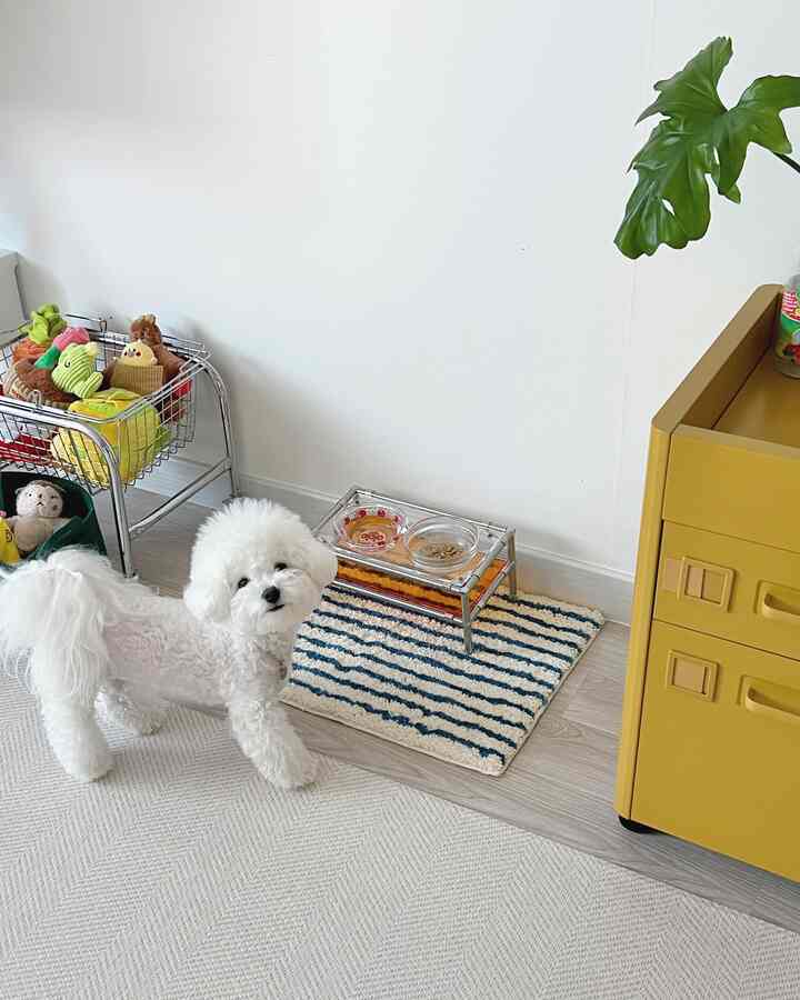 白と黄色を基調としたペット用スペース、犬用食器とおもちゃが配された雰囲気のあるインテリア