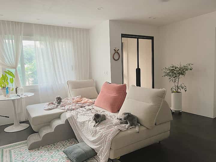 白とベージュの色調のリビング、クリーム色のソファとペット用階段、グリーン植物が配置された落ち着いた雰囲気のインテリア