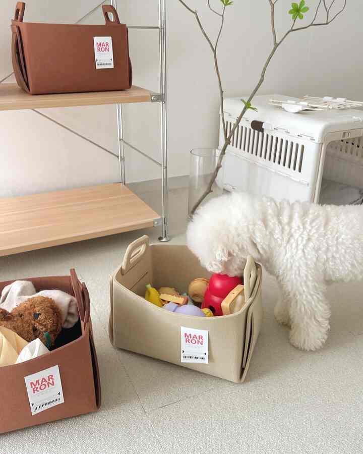 明るいベージュの空間に収納バスケットと犬用おもちゃ、犬が配置された自然でペットフレンドリーなインテリア