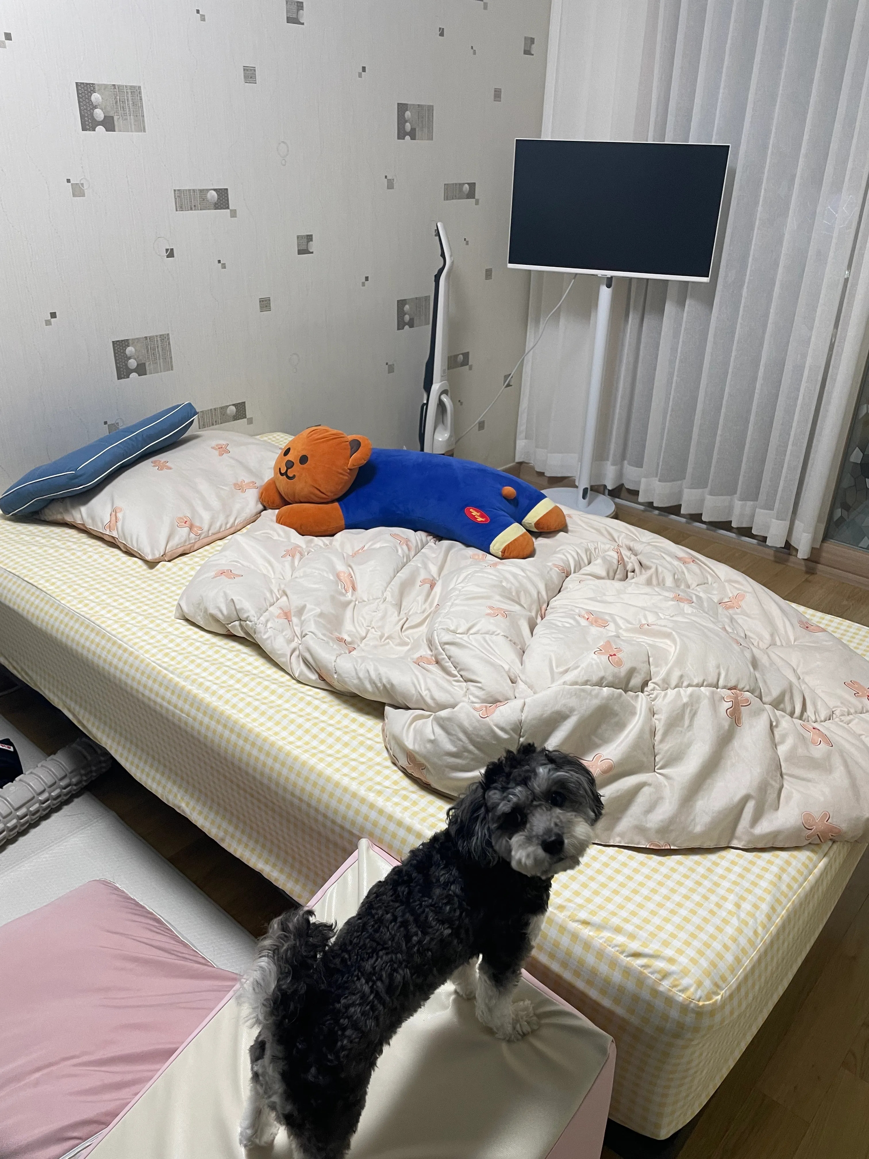 JellyCheck Anti-Bacterial Waterproof Mattress Fitted Sheet user photo