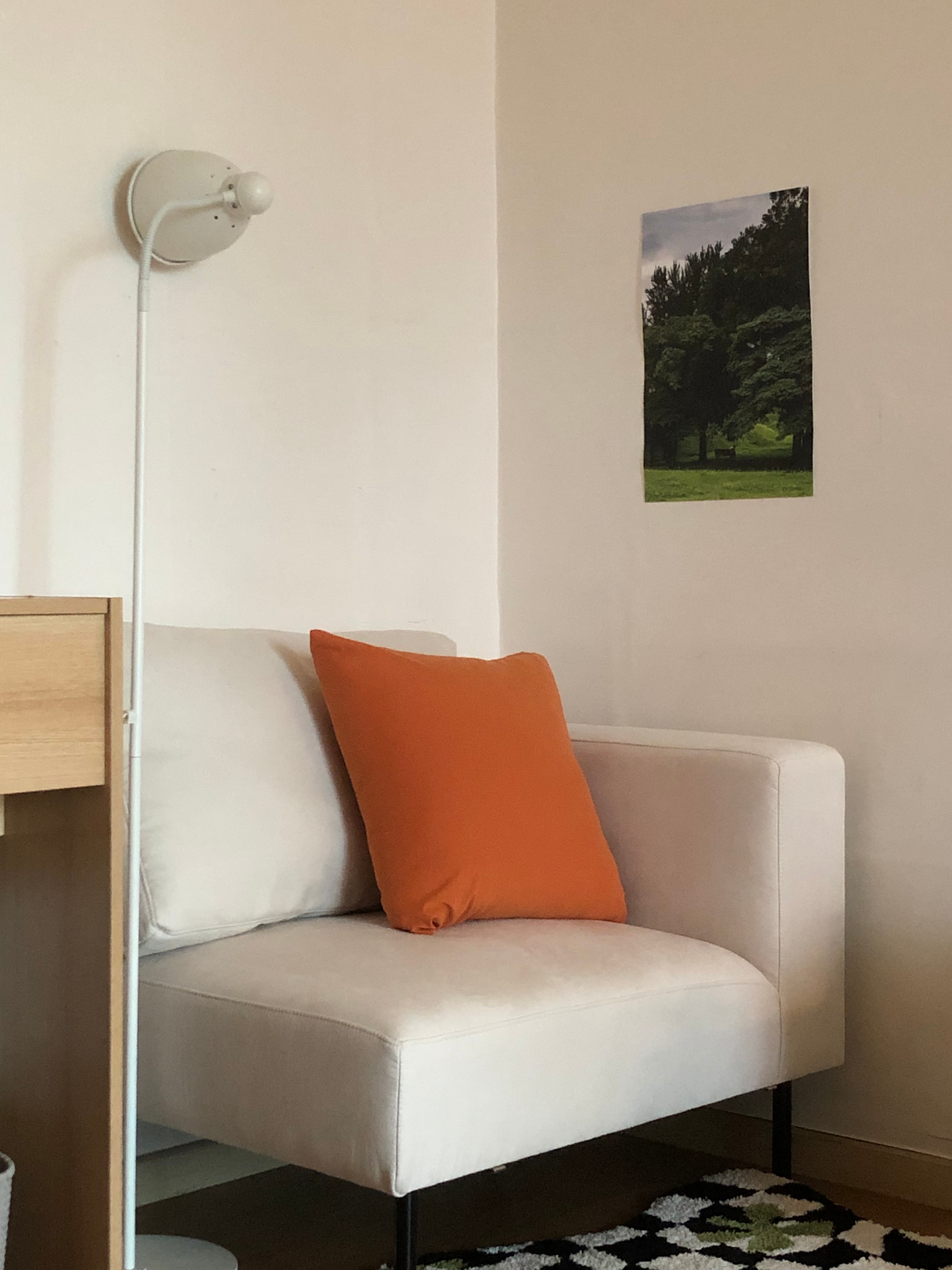 Checkered Accent Rug user photo