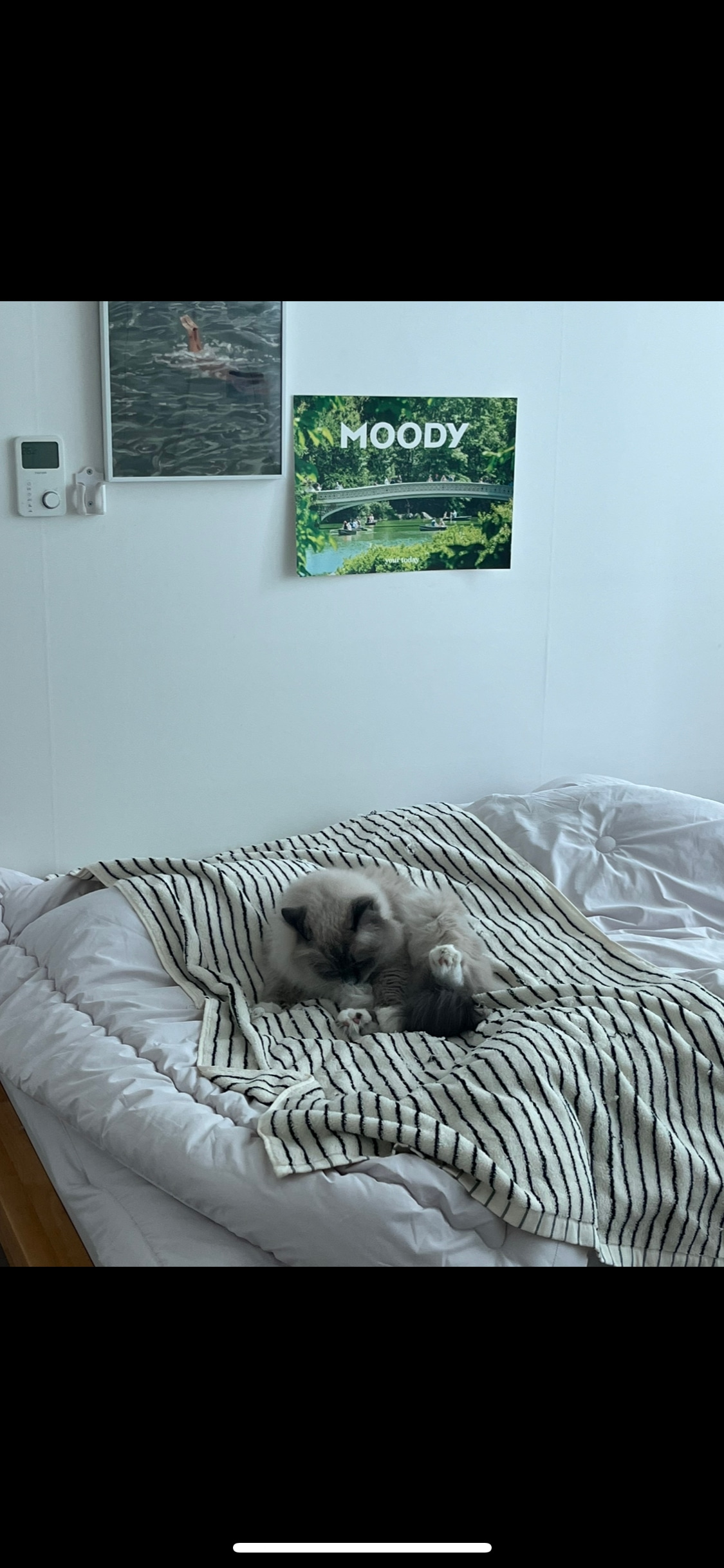 Cotton Modern Stripe Oversized Bath & Beach Towel user photo