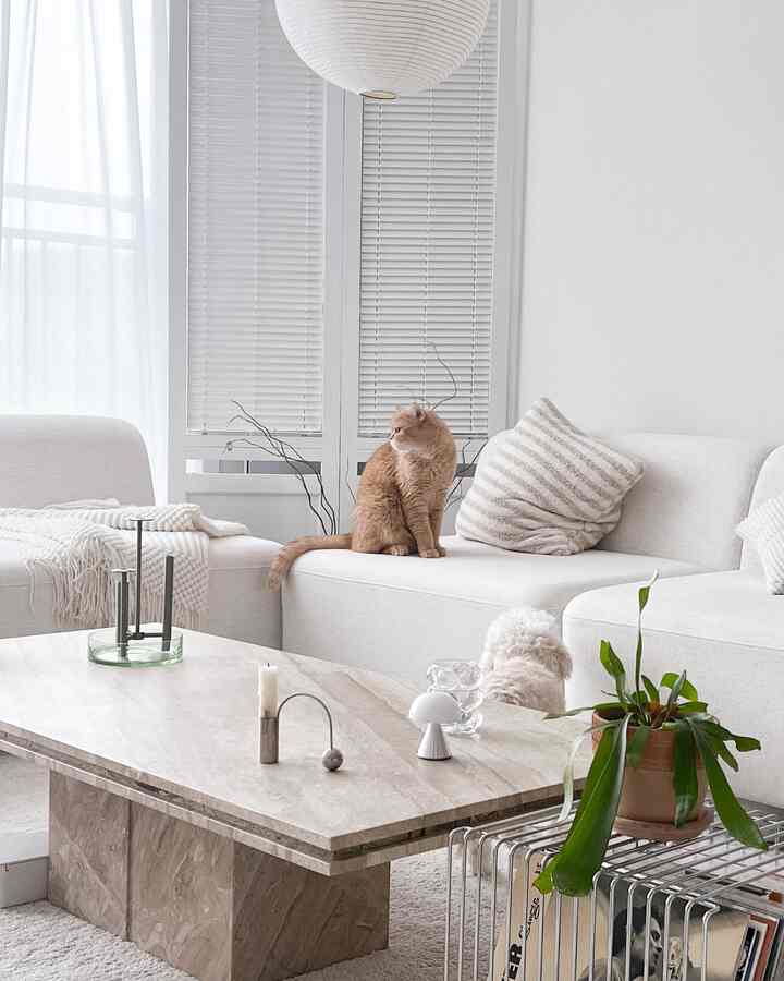 Our living room with dogs and cats,
The atmosphere has changed little by little🤍

#Olife #반려동물 #가족 #고양이가있는집 #강아지 #펫테리어 #몬타나 #렉슨 #조명 #펌리빙 #밸런스캔들 #프리츠한센 #이케루화병 #파티션 #에어컨가리개