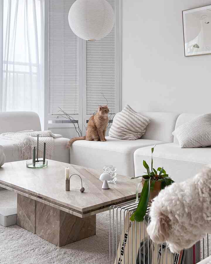 Bright natural modern living room featuring white sofa with a cat seated, stone coffee table, and green plant creating a cozy atmosphere