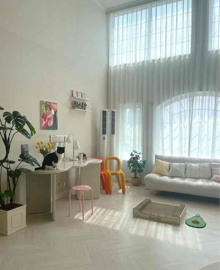 Bright white and natural toned living room featuring a white sofa, plants, and a cat sitting on a curved desk, creating a cozy space