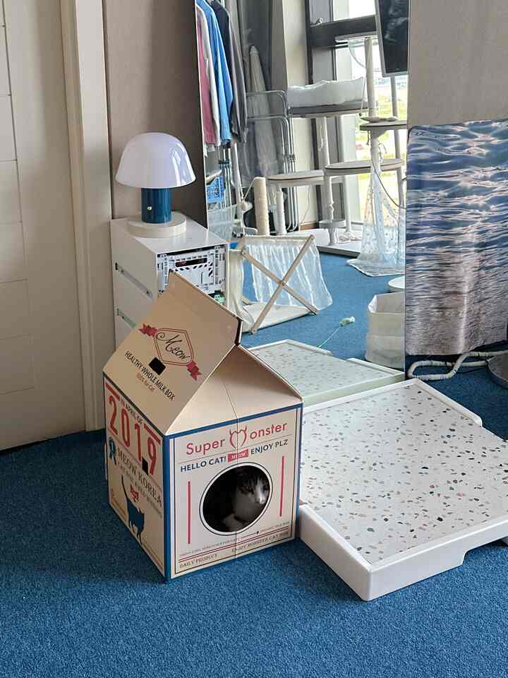 Living room with blue carpet floor featuring a cardboard cat house with a cat inside and terrazzo-patterned scratching post