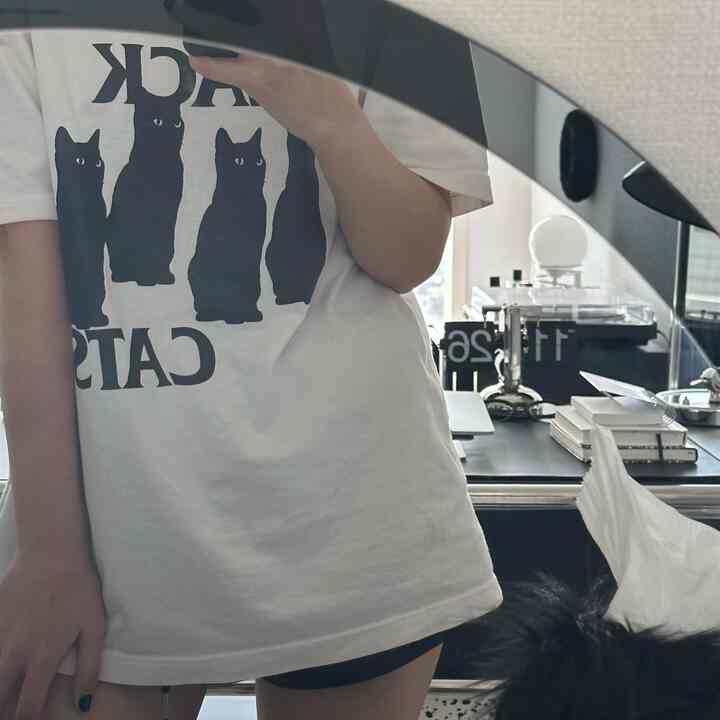 Modern black-toned interior with a large glass frame mirror center-right and a black cat on the lower right