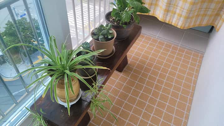 Yellow-toned balcony space featuring a wood tone bench with several plants, creating a natural and cozy atmosphere