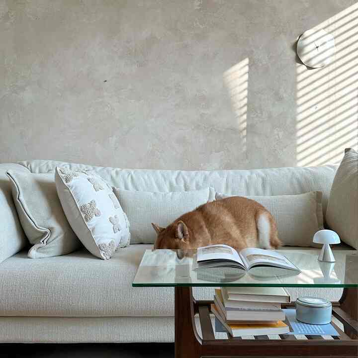 Natural beige-toned living room featuring a large sofa with a dog resting comfortably on a glass coffee table, creating a warm atmosphere