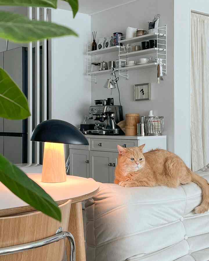 A cozy space blending white and wood tones between kitchen and living area featuring an orange cat on a sofa backrest and a black table lamp on a round white table