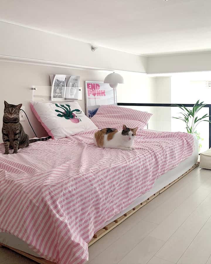 白とピンクのトーンが特徴のワンルーム寝室、可愛い猫が2匹いるシンプルで雰囲気のあるインテリア空間