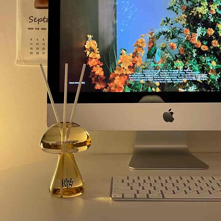 Modern workspace with white desk featuring a diffuser and Apple iMac in a clean setting