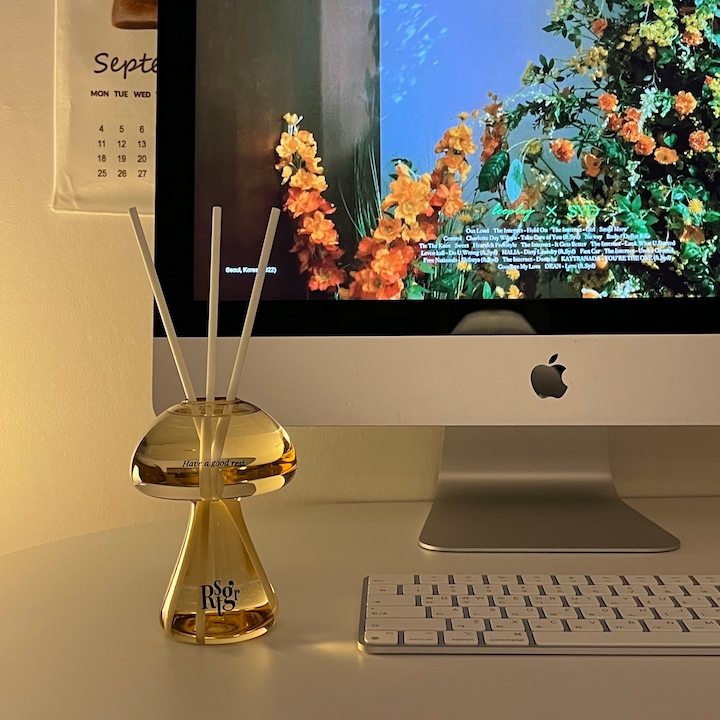 Mushroom Objet Diffuser user photo