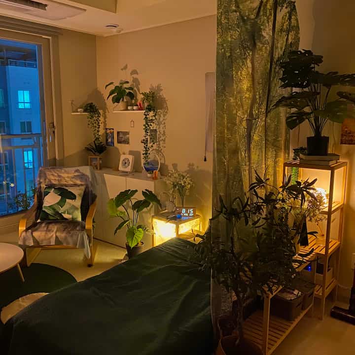 Warmly lit natural-toned studio bedroom featuring abundant plants and cozy furniture