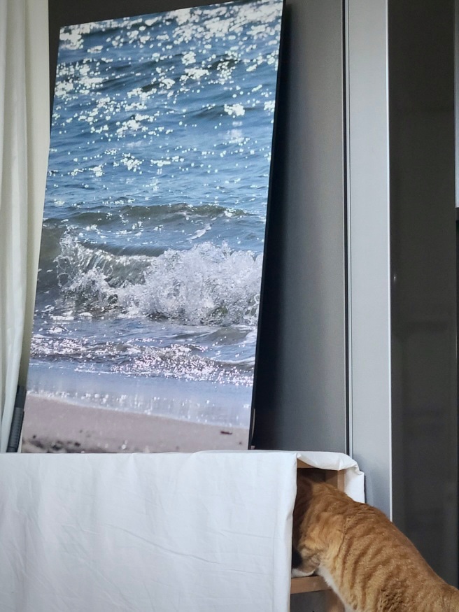 Ocean Wave Foldable Floor Coffee Table user photo