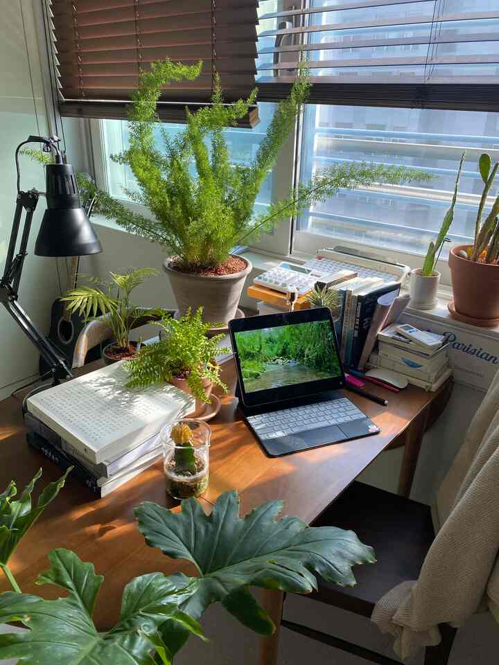 朝は日光がよく入る方だ。
時にはこのように植物の友達をテーブルに載せて光を見させてくれています。

植物を育てる上で最も重要なことはすべてが適正なもの。
だと思います。

適切に水を与え、
適切に風通しして、
適切に光を当てると

本当に育てやすいですが
それはとても難しいです。