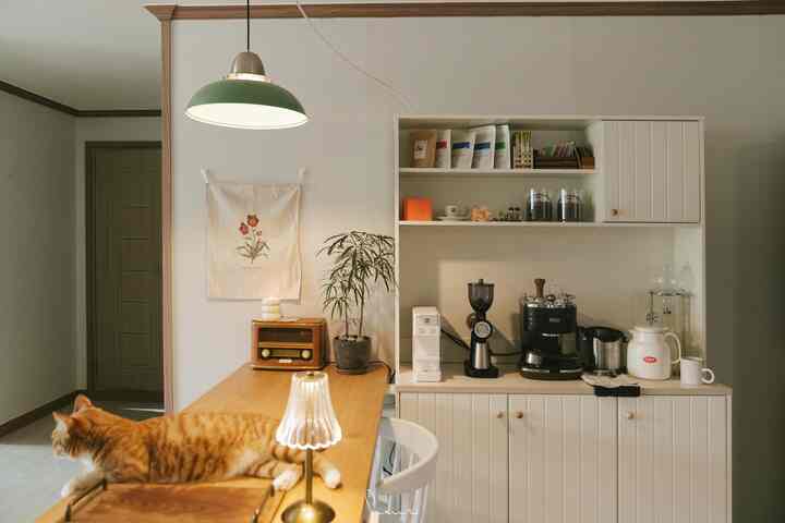 Natural tone white dining room featuring coffee machines, storage cabinet, and a relaxed cat on the wooden dining bar in a cozy home cafe eating space