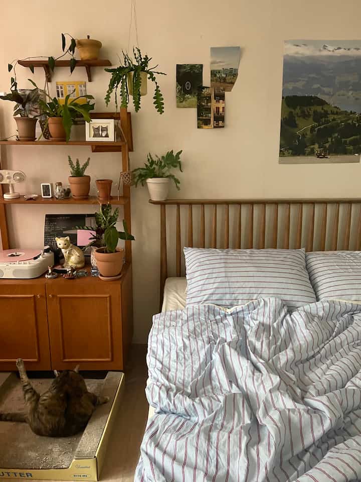 pure cotton ボックスシーツ［14色・2サイズ］を使ったコーディネート 1