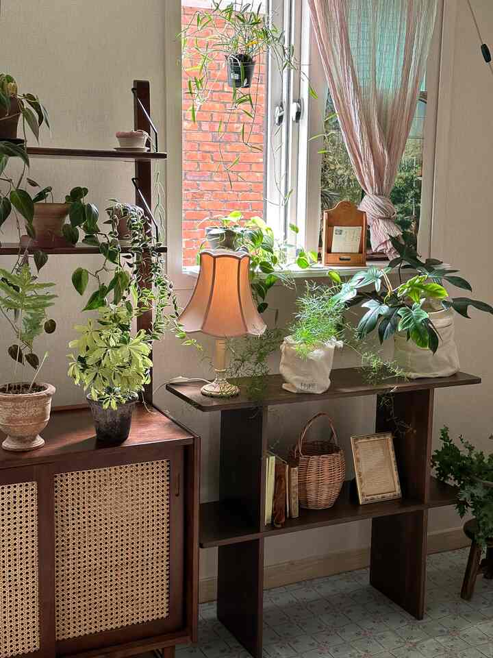 温かみのある木目調と様々な植物が調和するワンルーム、ヴィンテージ風ランプと木製棚が配置された雰囲気のあるインテリア