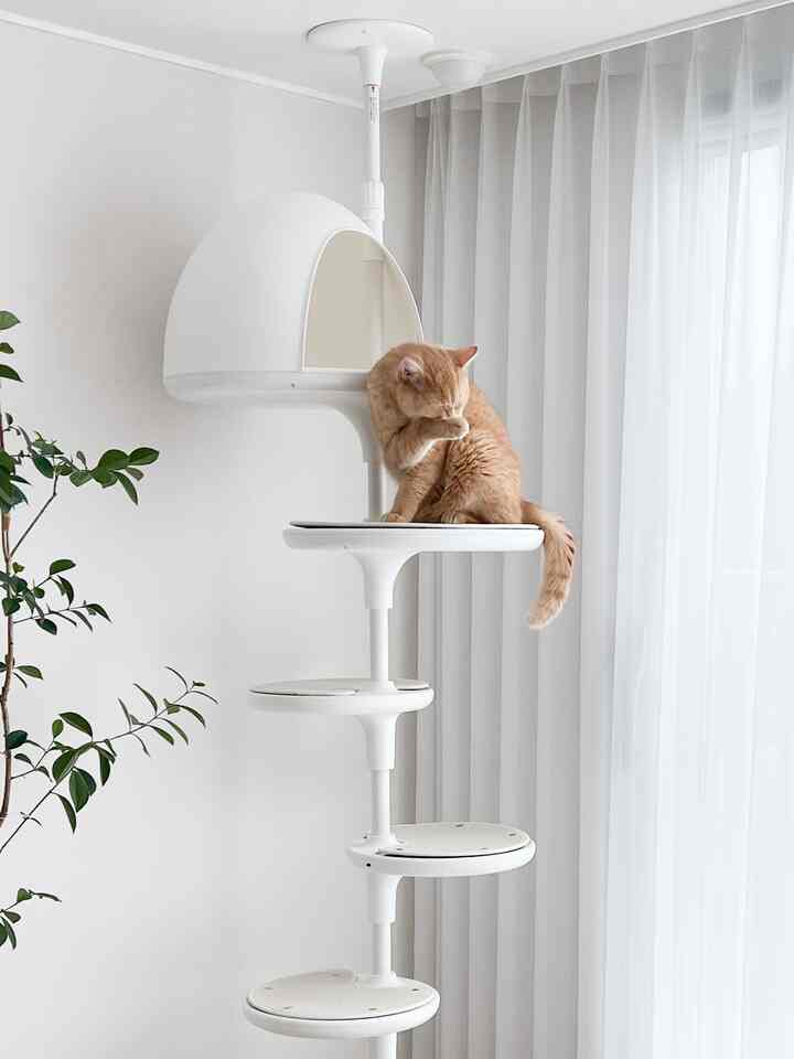 A white-toned living room with a centrally placed cat tower where an orange cat is grooming itself, featuring a clean and natural interior space