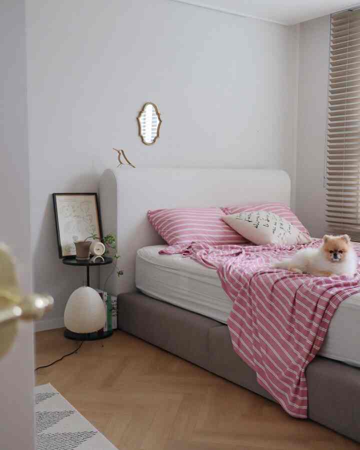 Soft white and pink bedroom featuring a bed with a small dog resting, creating a cozy atmosphere