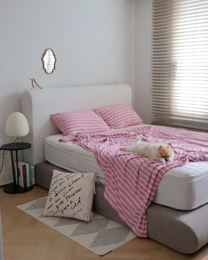 Bedroom with white walls and natural wood-tone blinds, featuring pink striped bedding and a small adorable dog creating a cozy atmosphere