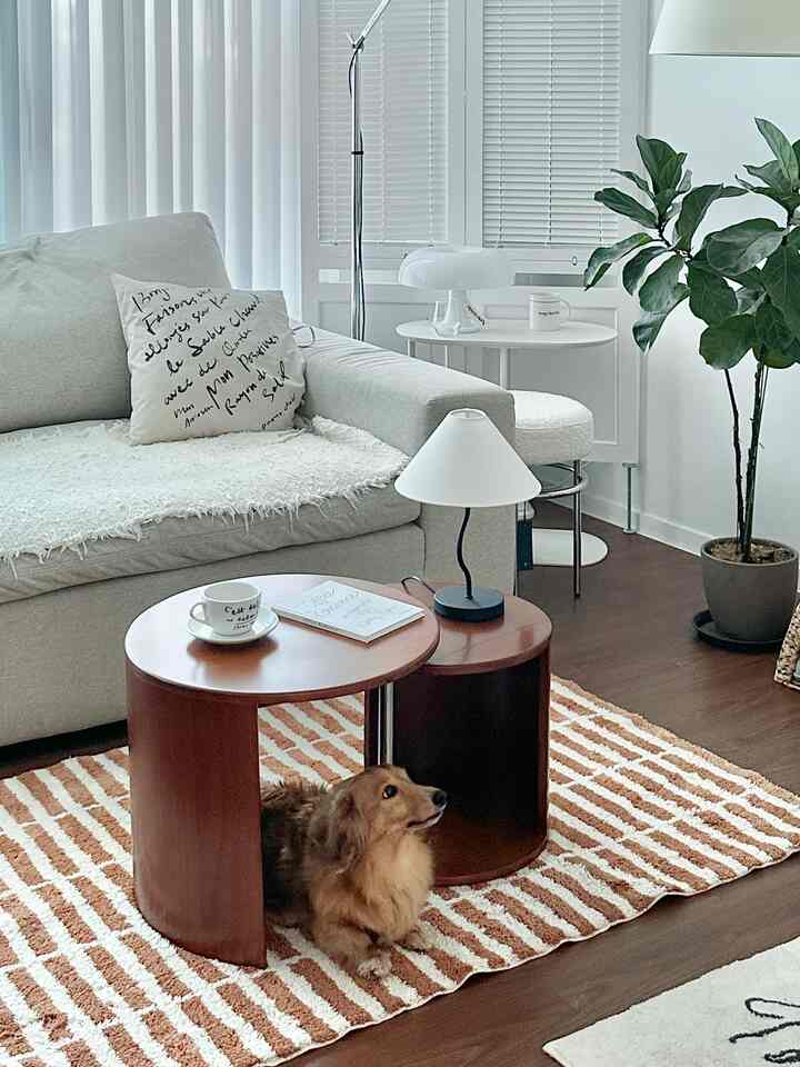 White and brown tone living room space featuring wooden side tables, striped rug, and a dog relaxing, creating a natural atmosphere