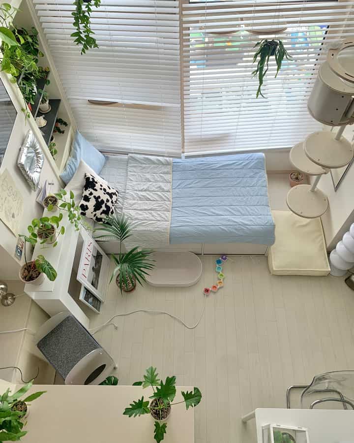 White and pastel blue toned loft studio bedroom featuring plants and cat tower in a cozy small space