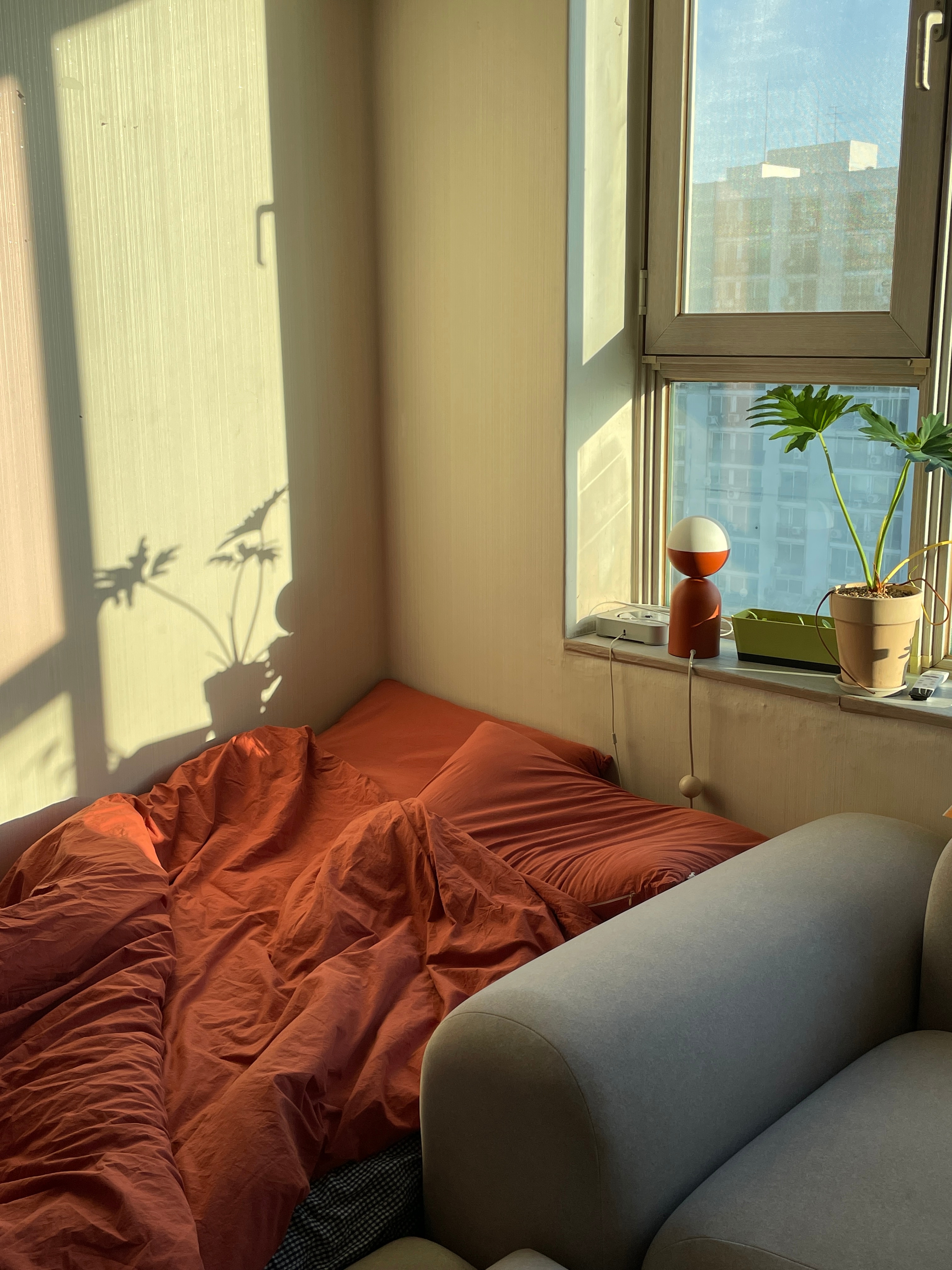 Pure Cotton Basic Fitted Sheet user photo