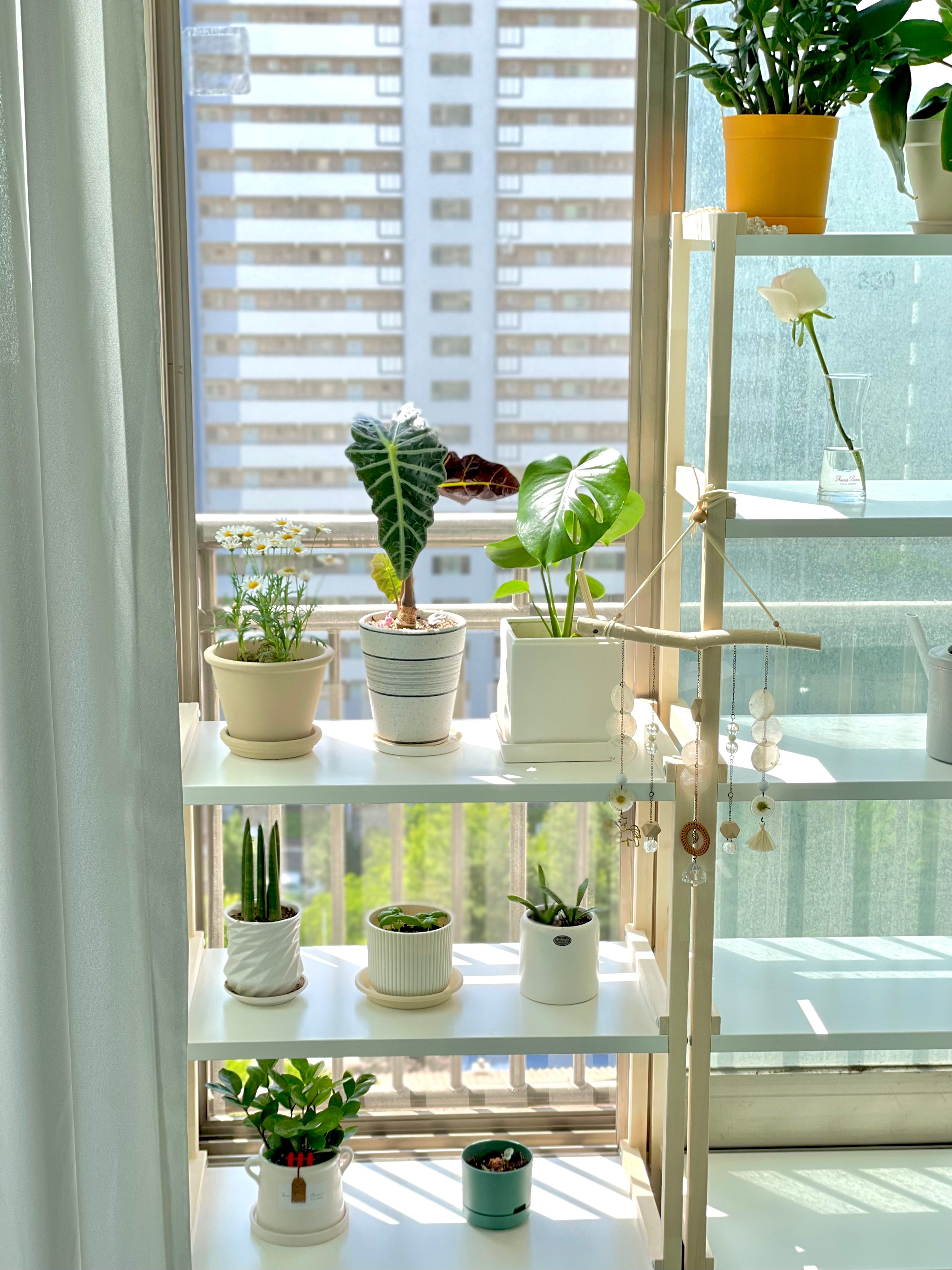 IKEA EKENABBEN エーケナッベン オープンシェルフユニット, 70x34x154
