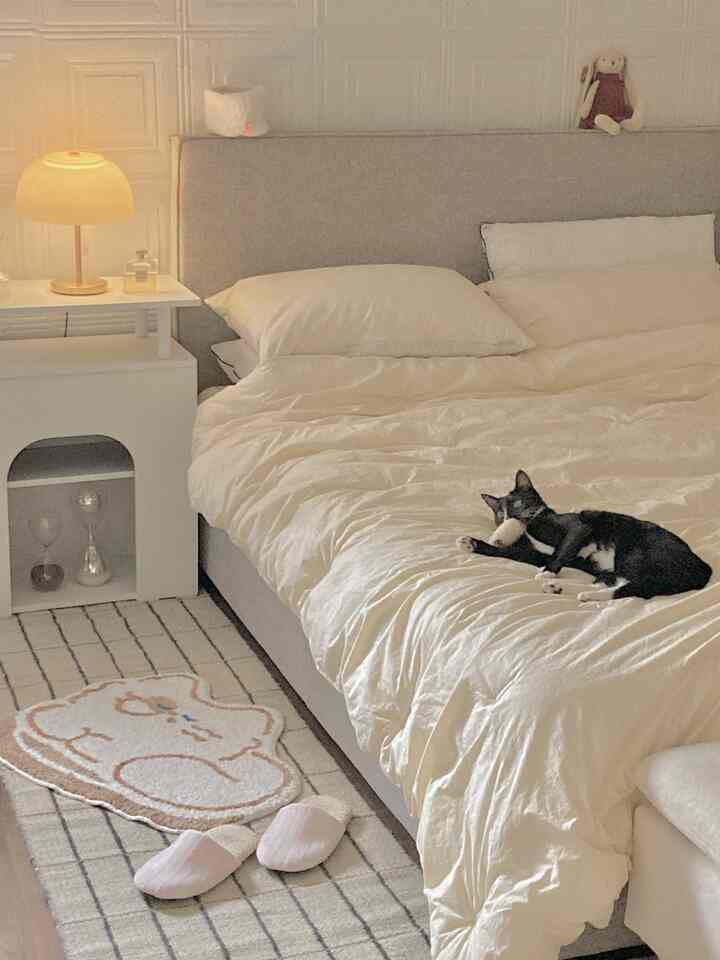 Beige and ivory tone bedroom featuring a bed with a black and white cat lying on it and a table lamp on the side, creating a cozy atmosphere