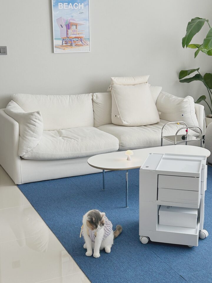 short form carousel card thumbnail