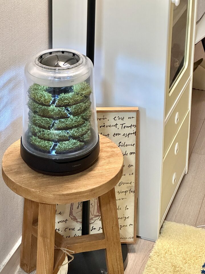 short form carousel card thumbnail