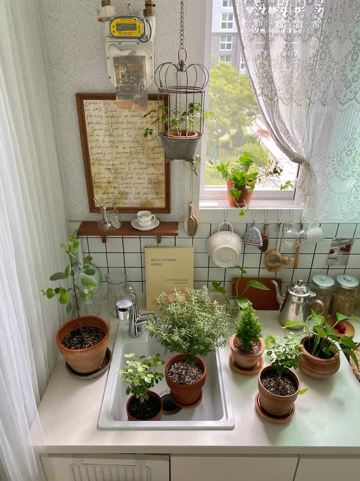 White and green toned kitchen space featuring potted plants and lace curtains, cozy auxiliary kitchen