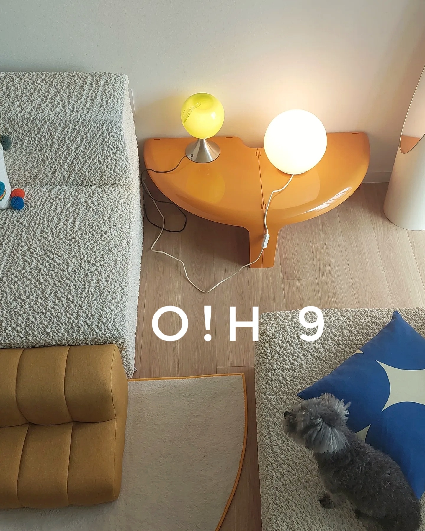 Washable Oval Area Rug user photo