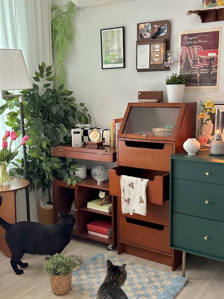 Wood-toned furniture and plants in a bedroom space featuring two cats, creating a cozy atmosphere