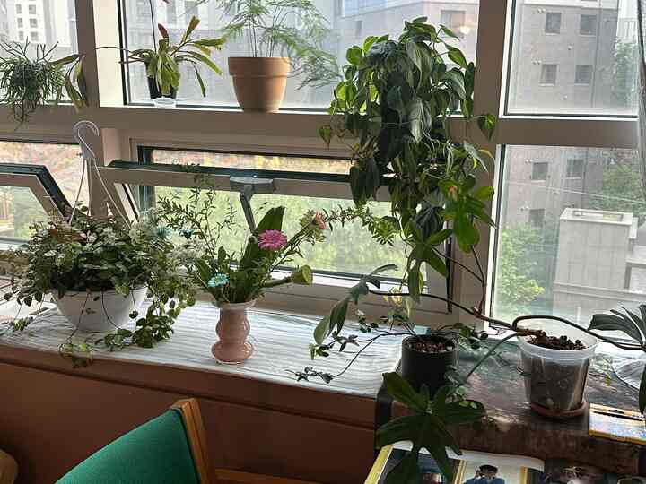 ベージュと木目調の調和が取れたベランダ、ストライプのカーテンと多彩な植物が配された雰囲気のあるインテリア