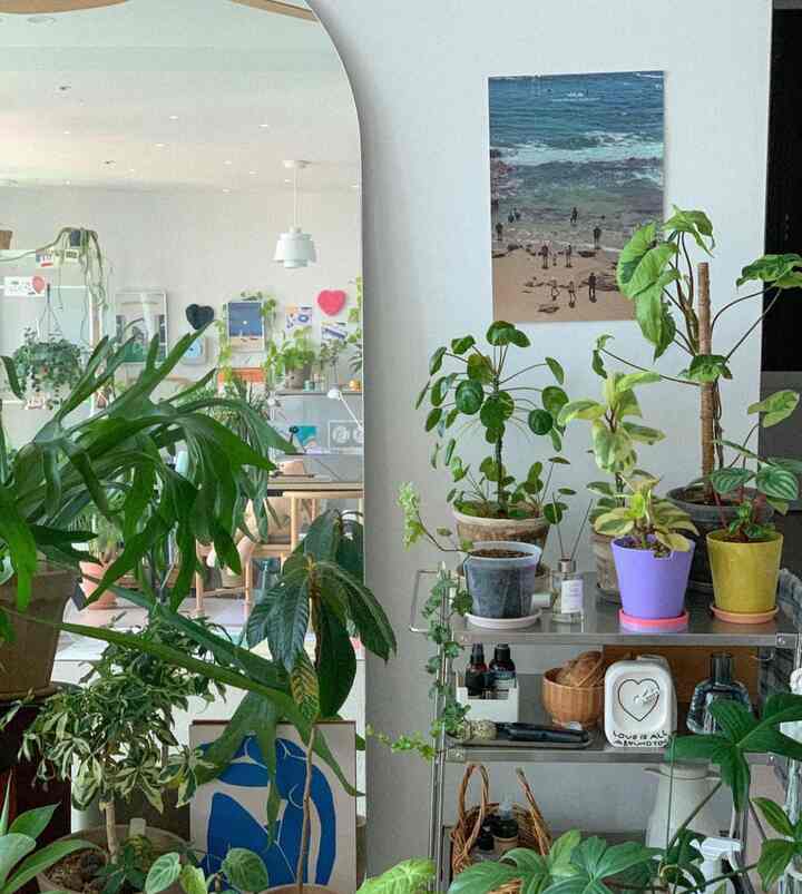 Natural styled living room with white walls and natural wood furniture, featuring numerous green plants and a poster creating a fresh atmosphere