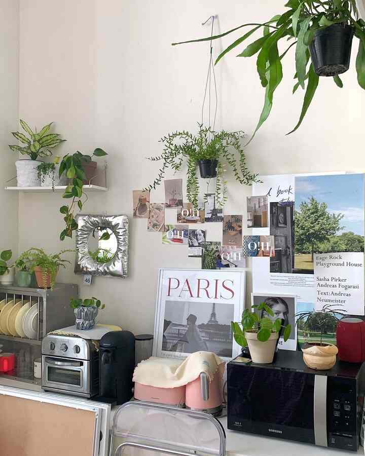 白とピンクのトーンのワンルームキッチンスペース、多数の植物とポスターが配された雰囲気のあるホームカフェ