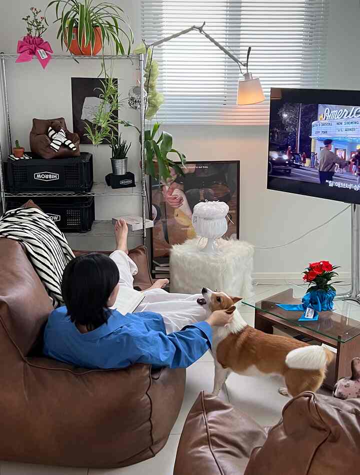 ブラウンのビーズクッションソファとペットの犬が配置された自然な雰囲気のリビング