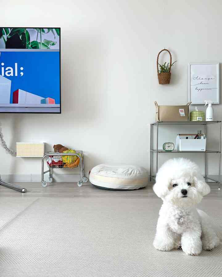 明るいホワイトとナチュラルカラーのリビング、ふわふわの白い犬とペットベッドが配置されたミニマルで清潔感のあるインテリア