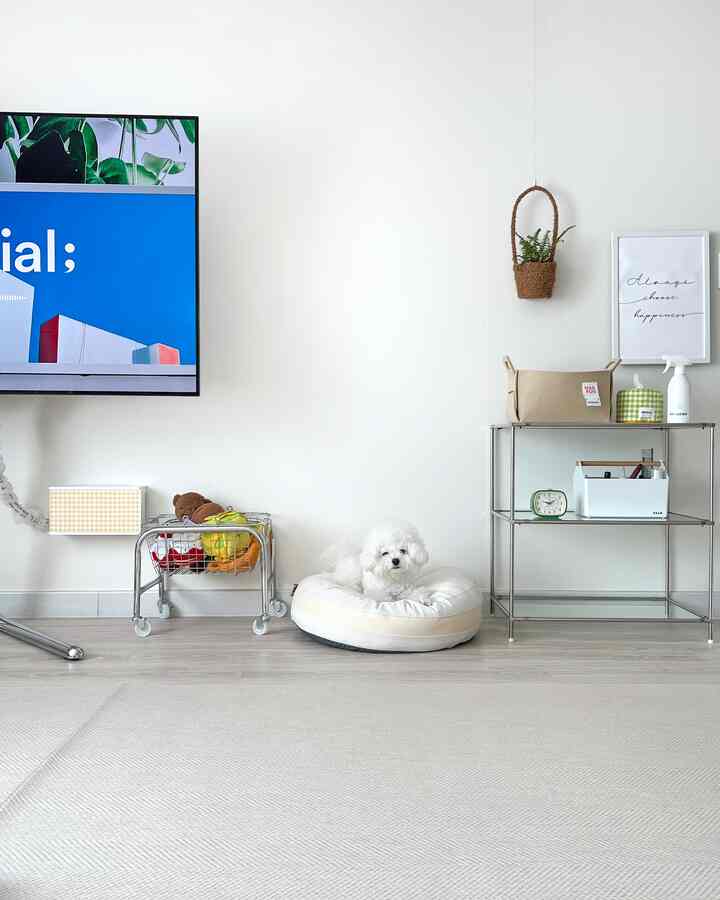 白とナチュラルカラーのリビング、ペット用家具と犬用ベッドが配置されたシンプルな雰囲気のインテリア