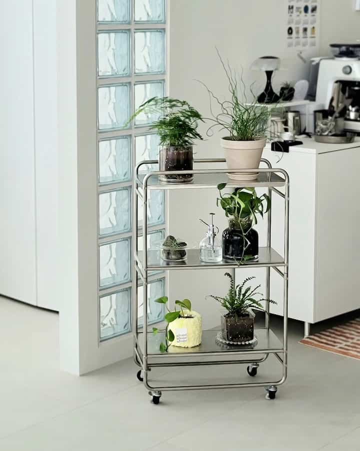 Akhir-akhir ini, saya sedang jatuh cinta dengan asyiknya merawat tanaman.
Tanaman kecil dimasukkan ke dalam troli dan disiram.
Ini juga memberikan sinar matahari yang cukup.

Menempatkan tanaman kecil di sana-sini di ruang tamu
Efek interiornya juga bagus.
#OHAUS Musim 9 #오하우스픽 #거실플랜테리어 #거실식물 
#Dekorasi ruang tamu #거실인테리어 #거실소품 #트롤리 #철제선반 #철제인테리어 #식물인테리어 #식물데코 #식물집사 