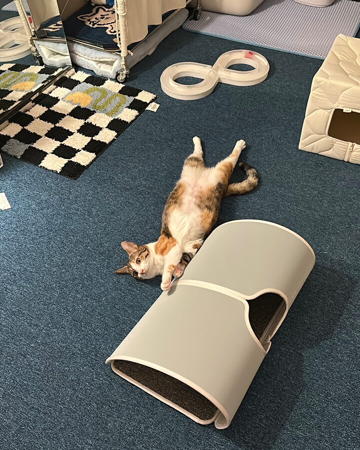 short form carousel card thumbnail