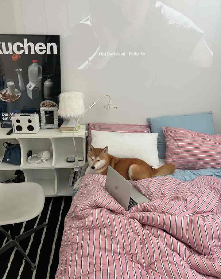 ピンクのストライプの寝具と白い壁、デスクチェアがある寝室、ベッドに横たわる柴犬がいる温かみのある空間